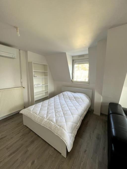 Appartement F5 Maison De Maitre Mulhouse Exterior foto