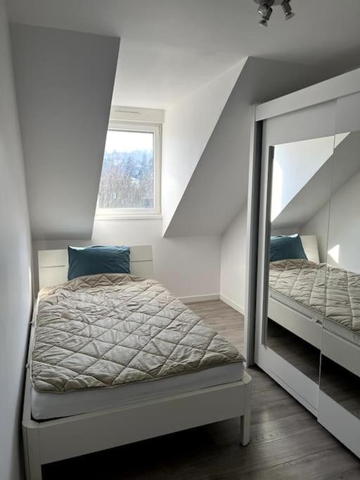 Appartement F5 Maison De Maitre Mulhouse Exterior foto